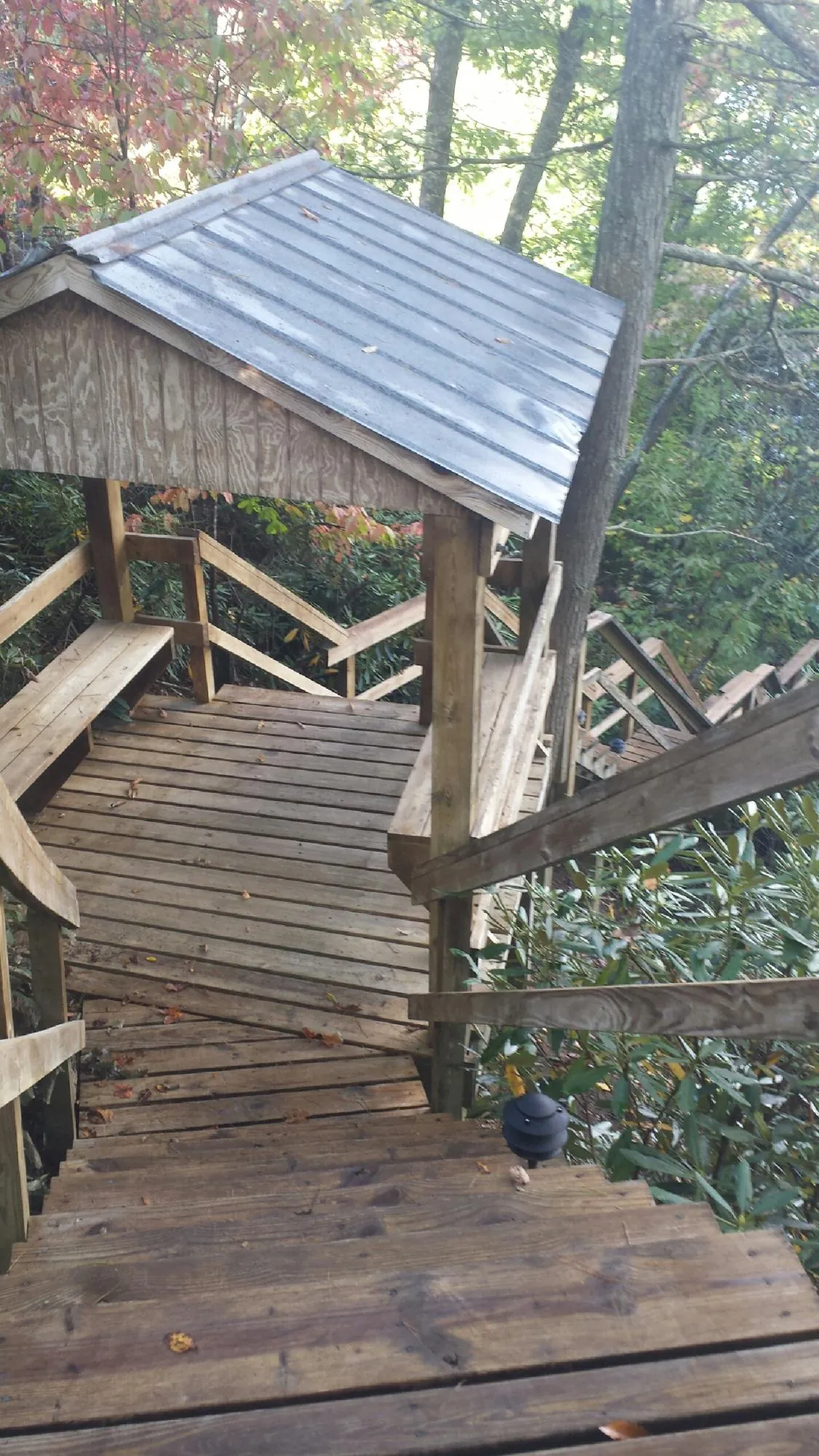Metal roofed shelter over wooden steps on a wooded walkway — Skylight Repair & Installation work by our crew in Newsoms